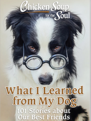 Chicken Soup for the Soul